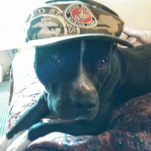 Meet your Posher, Barbara